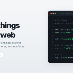 Renzo Johnson, full-stack software developer, Orlando FL